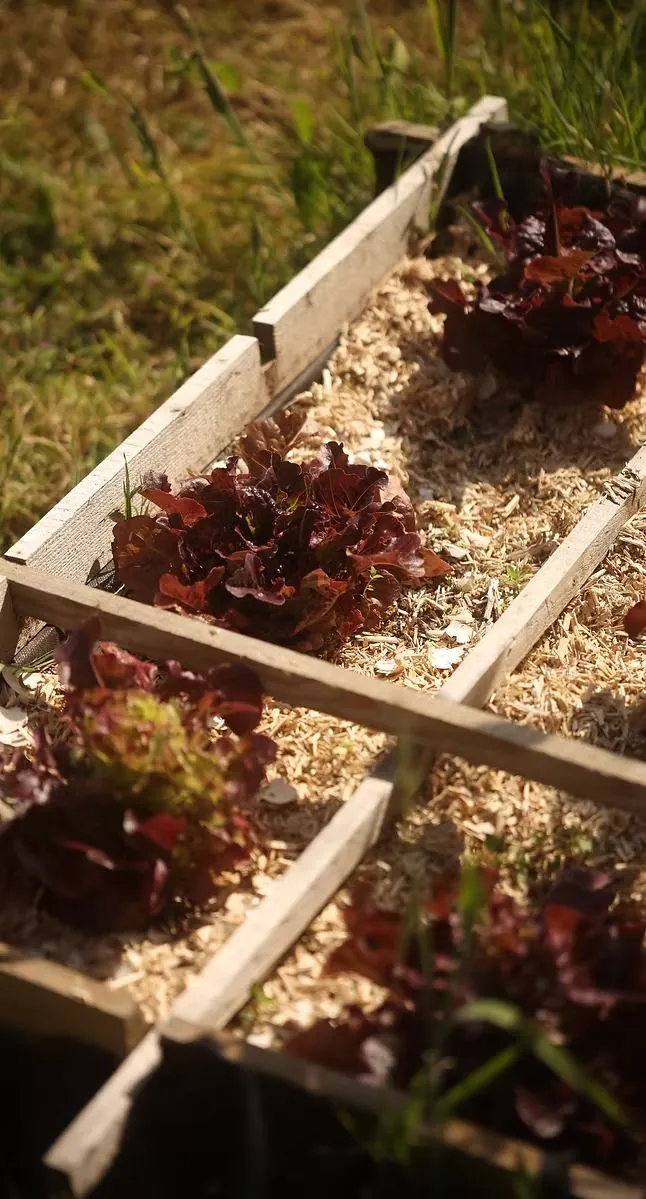 UNE PÉDAGOGIE ÉCOLOGIQUE - La Clef des Champs